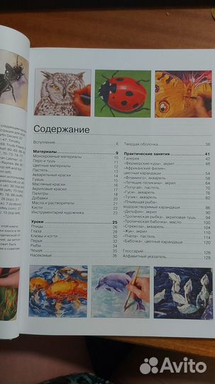 Книга для начинающих художников