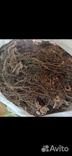 Чайный набор