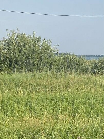 Участок 20 сот. (ИЖС)