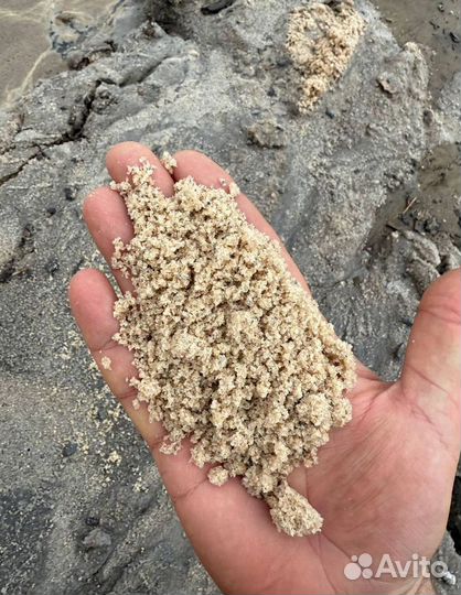 Песко соль галит