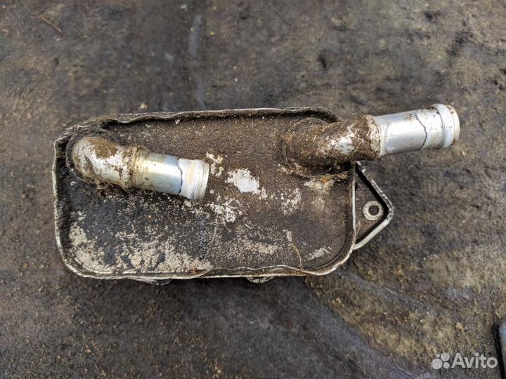 Радиатор масляный 06E117021G 2.4 FSI Audi