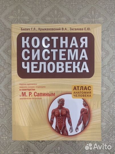 Анатомия человека. Сапин