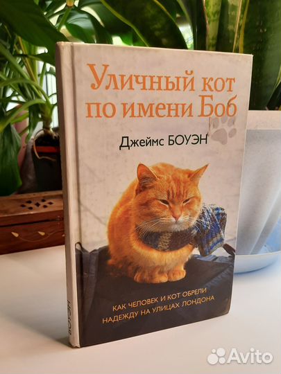 Уличный кот по имени Боб