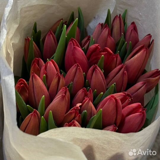 Тюльпаны к 8 марта