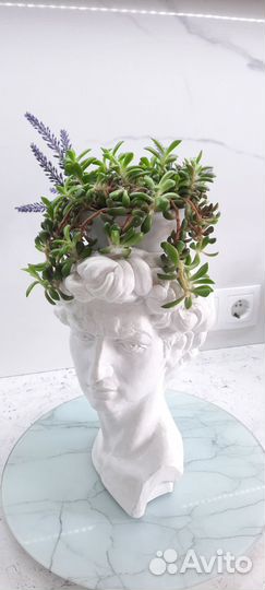 Анакомпсерос