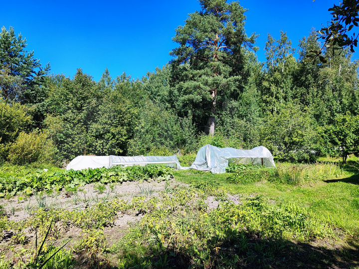 Участок 22 сот. (СНТ, ДНП)