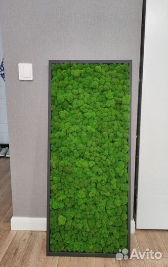 Панно из мха стабилизированного