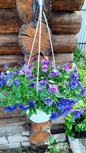 Подвесное кашпо