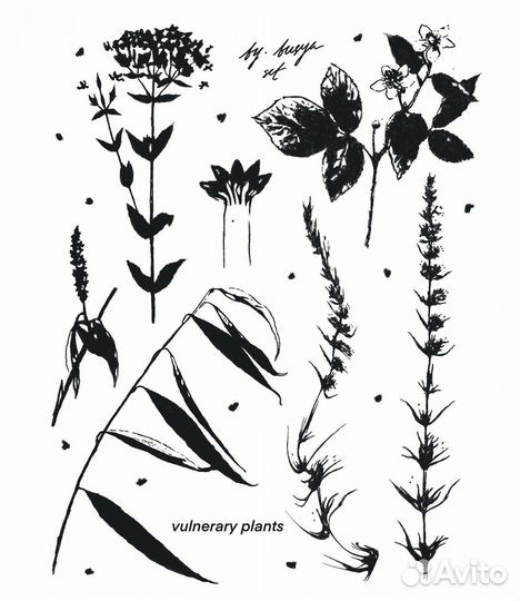 Модель для тату