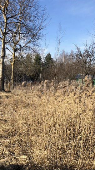 Участок 24 сот. (СНТ, ДНП)