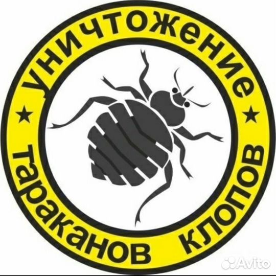 Уничтожение клопов тараканов грызунов плесени запа