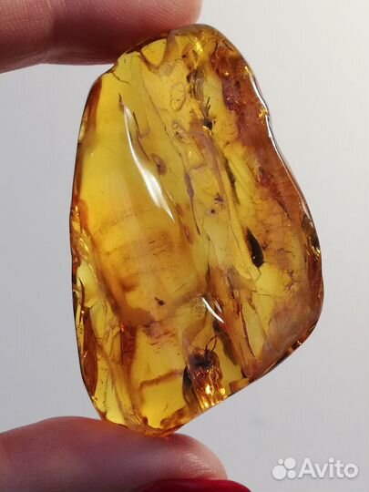 Коллекционный Янтарь с инклюзами Вес 15,8 гр