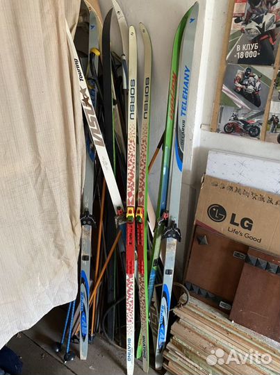 Беговые лыжи