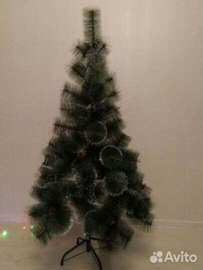 Сосна пушистая с инеем и шишками