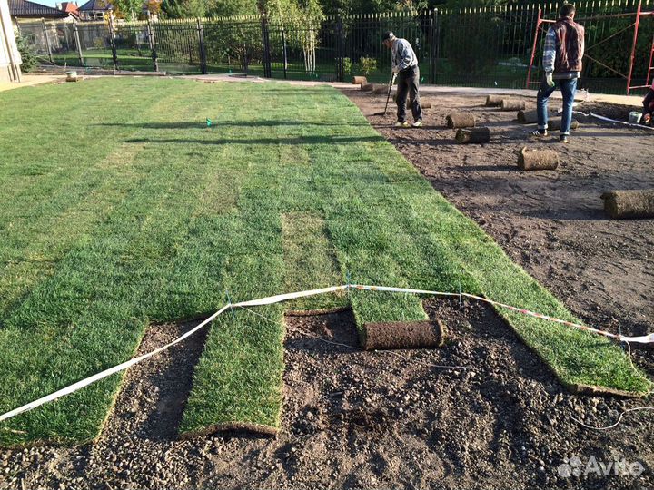 Рулонный газон, укладка рулонного газона