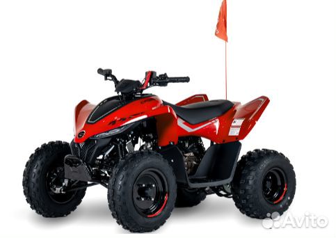 Квадроцикл детский cfmoto cforce 110 EFI синий