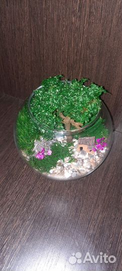 Моссариум, флорариум