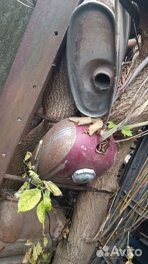 Бак Ява 350 Jawa старуха