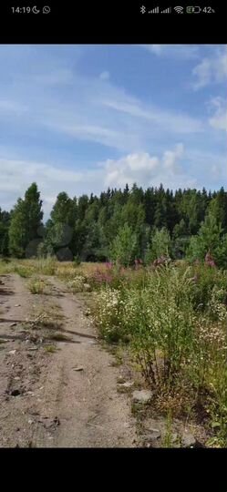 Участок 17,5 сот. (СНТ, ДНП)