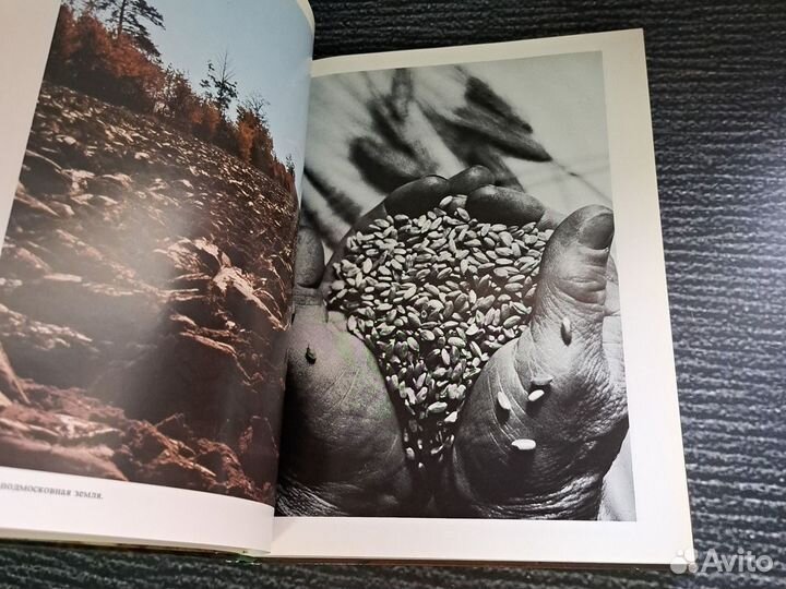 Книги Подмосковье. Фотоальбом. 1978