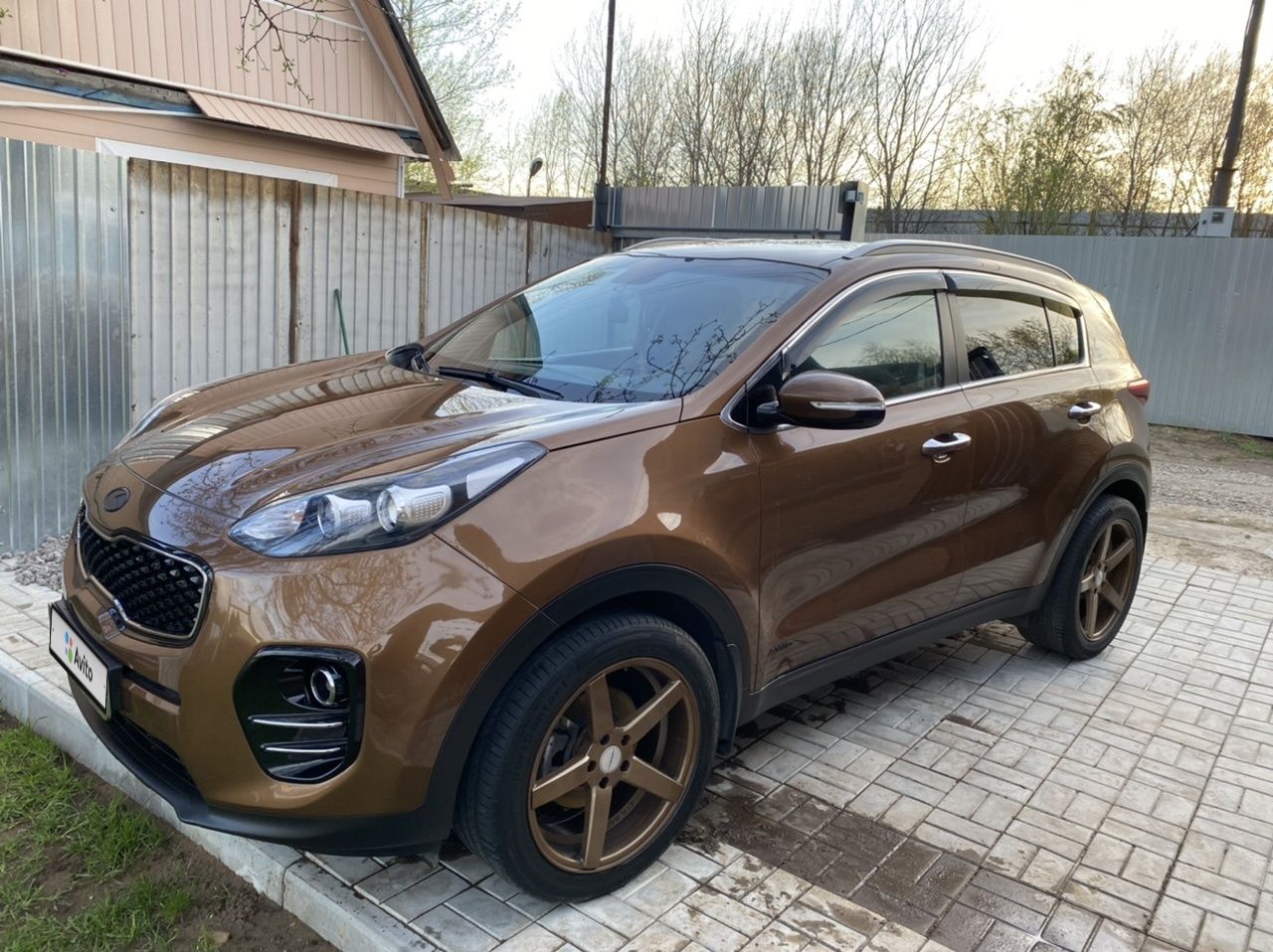 Kia Sportage: фото владельца