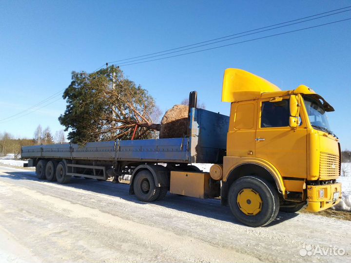 Длинномер33