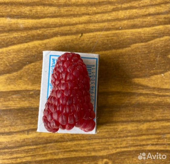 Чёрная смородина