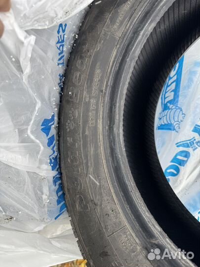 Foman Polar Bear 185/65 R15