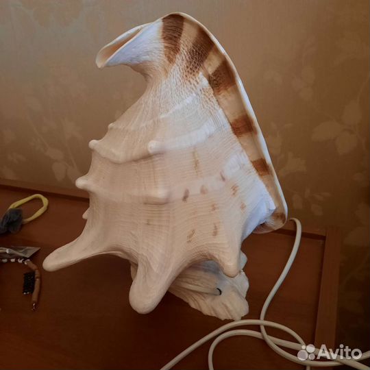 Светильник ракушка