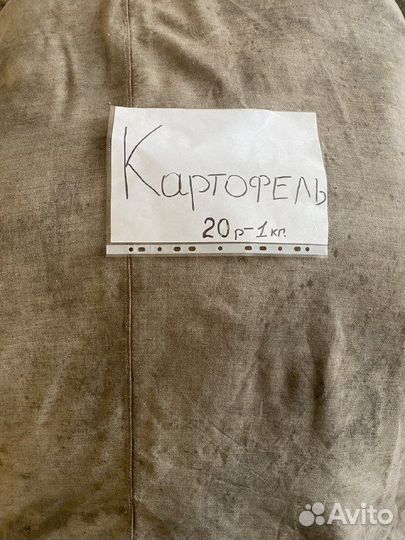 Зерно пшеница ячмень овес