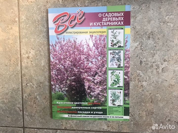 Всё о садовых деревьях и кустарниках