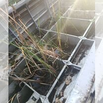 Катер Albakore 470 fish, Сухум