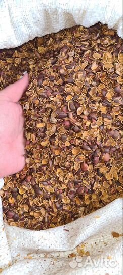 Мульча. Скорлупа кедрового ореха