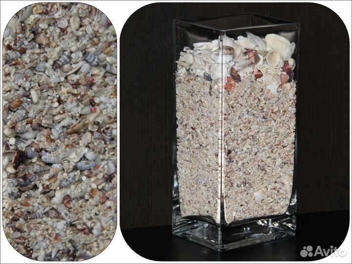 Декор / ракушки, кораллы, морские звезды / 1,7 л