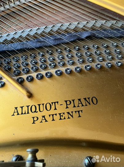 Рояль Блютнер Aliquot-piano