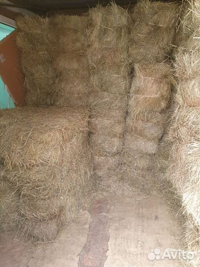 Сено В брикетах