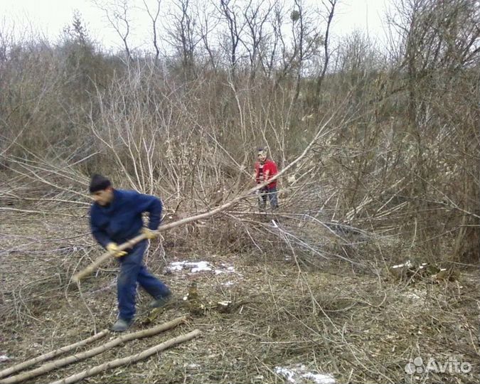 Разнорабочие