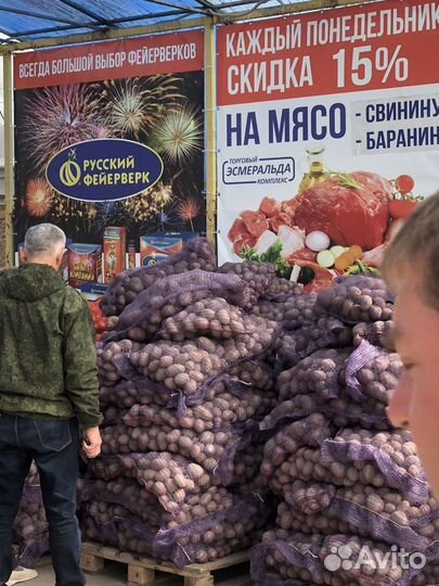 Картофель лук овощи