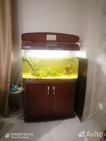 Аквариум с тумбой