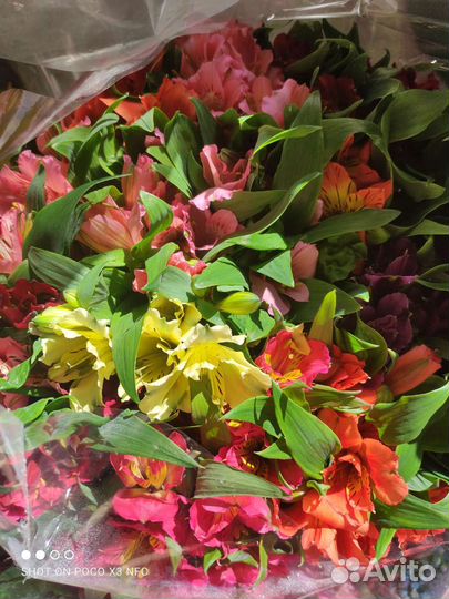 Гипсофилы, альстромерии, тюльпаны, розы)