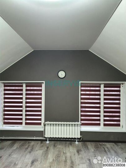 Зебра день ночь