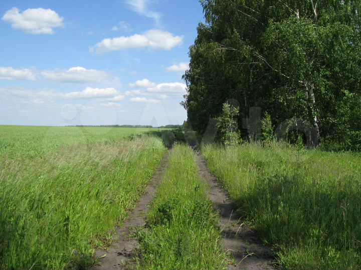 Участок 38 сот. (ИЖС)