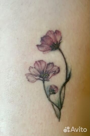 Тату мастер