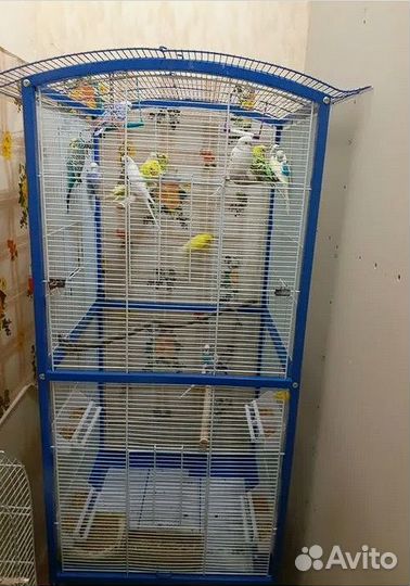Клетка вольер Triol для попугаев