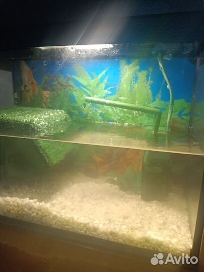 Аквариум 10л для черепах с островком