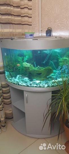 Аквариум