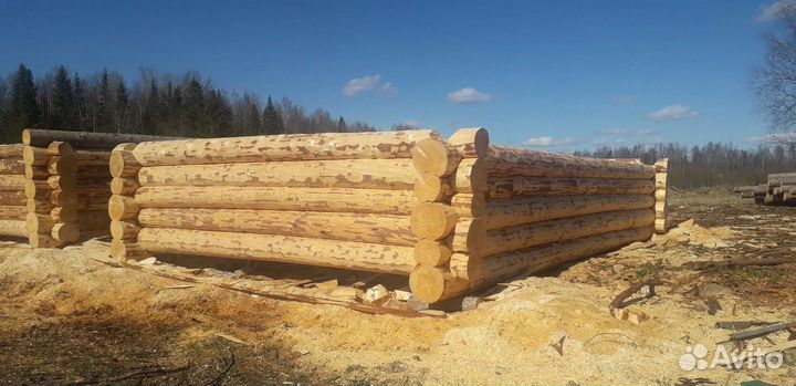 Рубим срубы