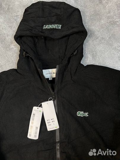 Мужская осенняя куртка Lacoste вельвет