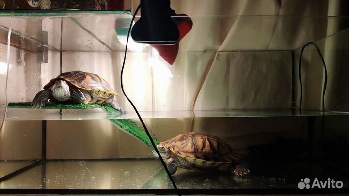 Большой аквариум, террариум для черепах 112 литров