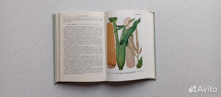 Культурные растения СССР. 1978 (в.вехов)